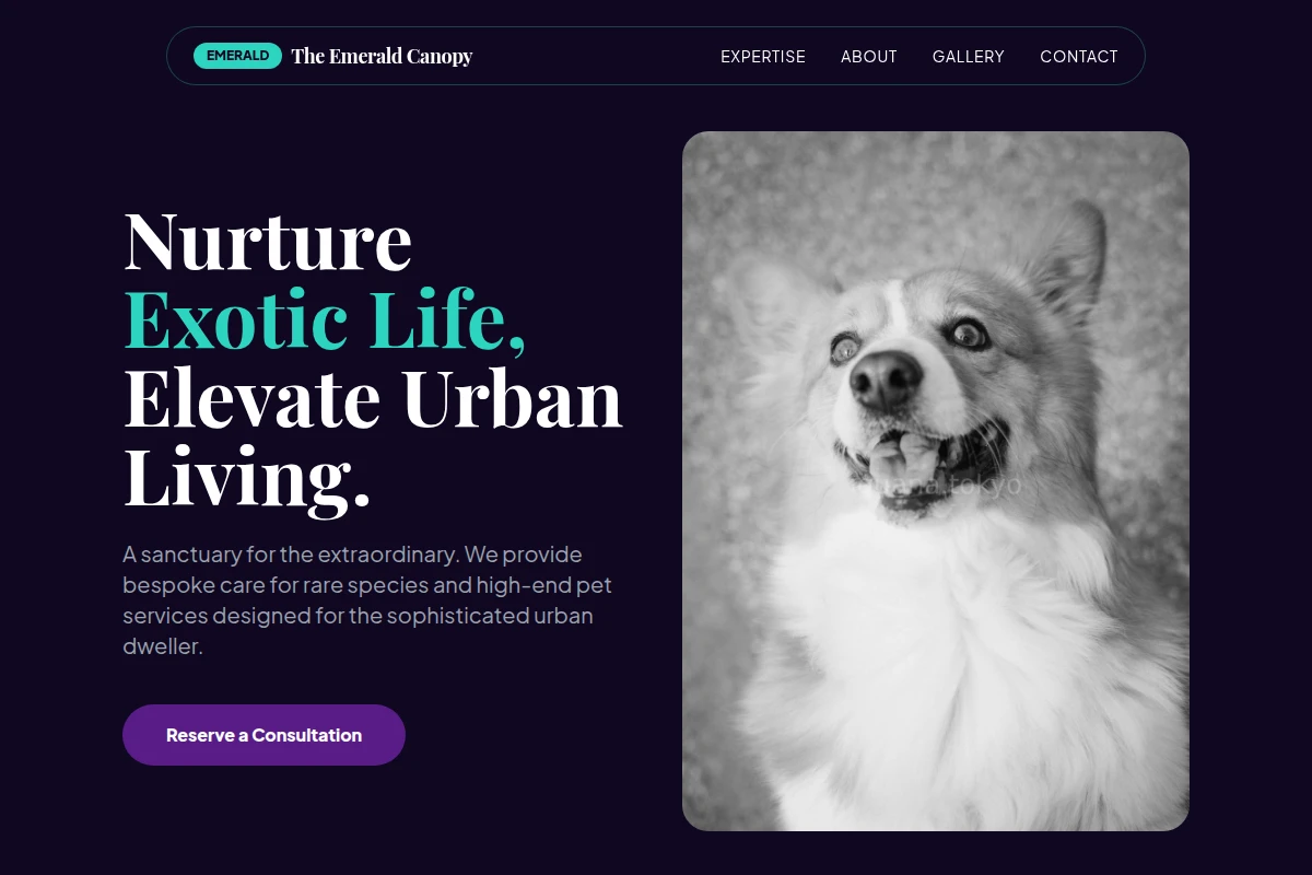 Premium Animal Care Website Design